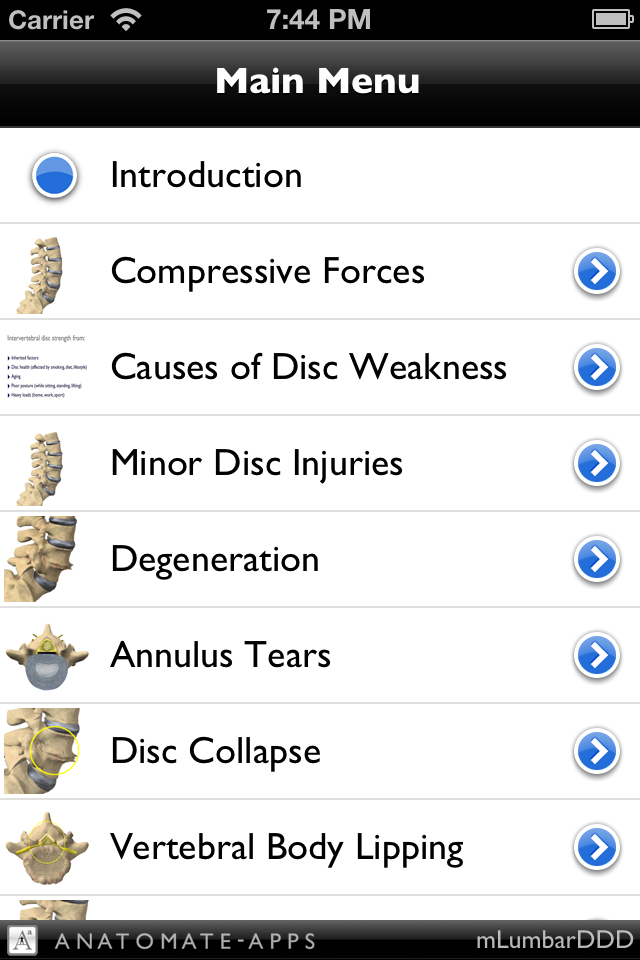 iPhone Screenshot 1